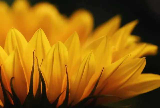 Schermo 4K, istruzioni per l’uso. E per l’acquisto